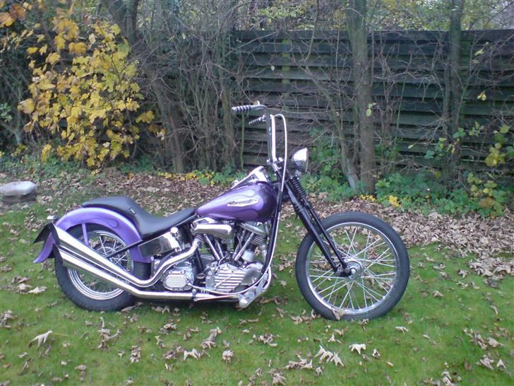 Harley Davidson Panhead billede 3