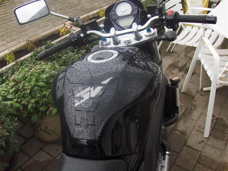 Suzuki sv 1000 billede 2