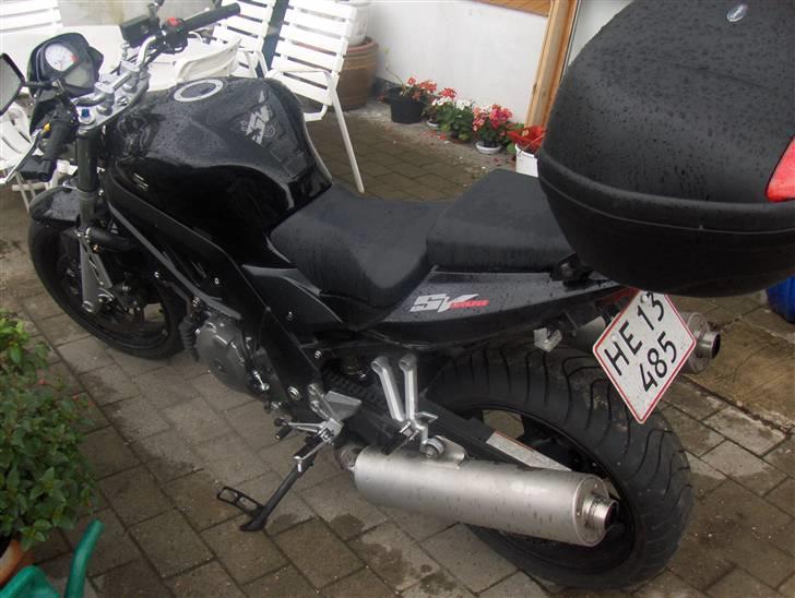 Suzuki sv 1000 billede 3