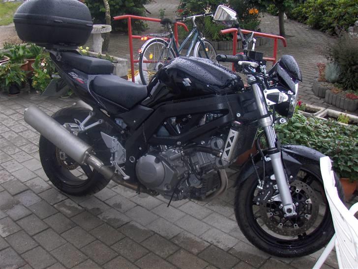 Suzuki sv 1000 billede 4