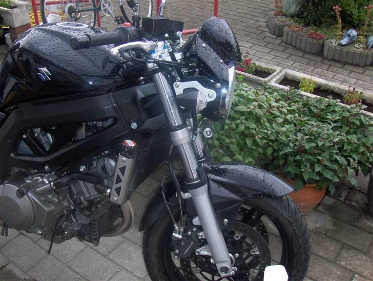 Suzuki sv 1000 billede 5