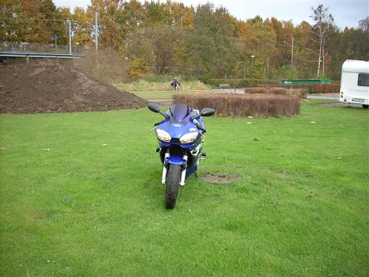 Yamaha YZF R6 (tidligere  MC) billede 17