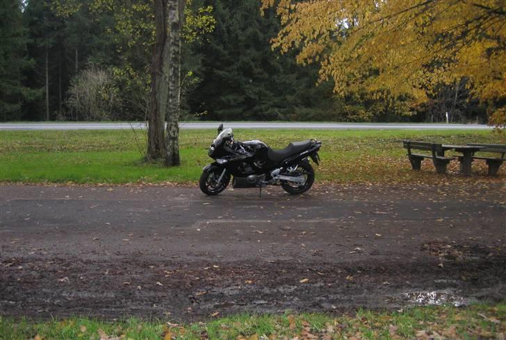 Suzuki gsx750f - første afslapnings tur efter styrtet, kæft det var lækkert, os selvom det regnede lidt:) billede 2
