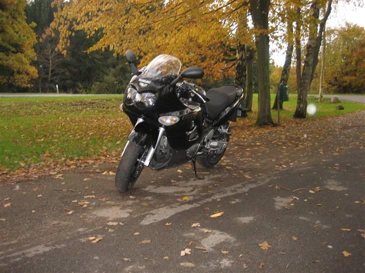 Suzuki gsx750f - første afslapnings tur efter styrtet, kæft det var lækkert, os selvom det regnede lidt:) billede 5