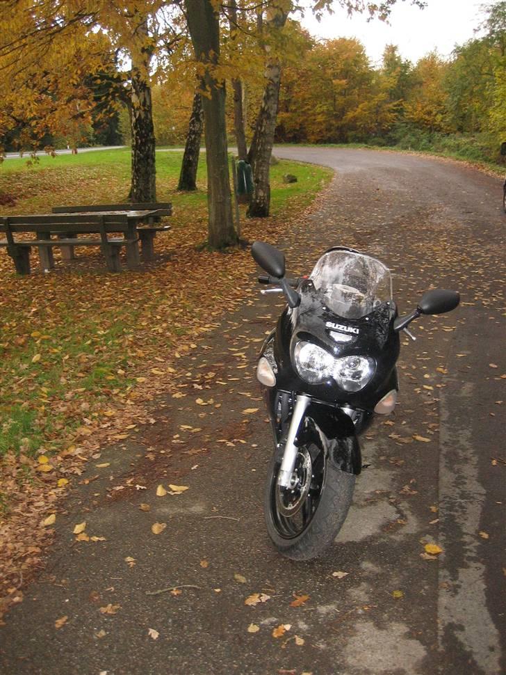 Suzuki gsx750f - første afslapnings tur efter styrtet, kæft det var lækkert, os selvom det regnede lidt:) billede 6
