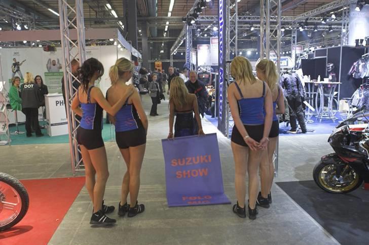 Suzuki GSX1300R Hayabusa.. - Hmm søde SUZUKI tøser.. :>) billede 6