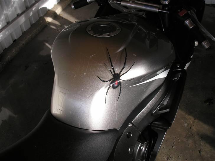 Yamaha yzf r6 billede 2