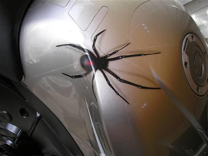 Yamaha yzf r6 billede 6