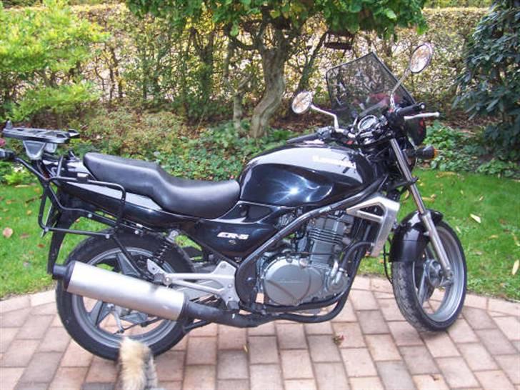 Kawasaki Er-5 - Min første MC - tog kortet for bare et par måneder siden og valgte mig en solid "begynder" - Kawa Er-5 billede 1