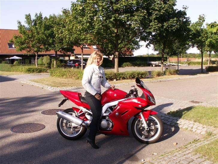 Suzuki SV1000S billede 1