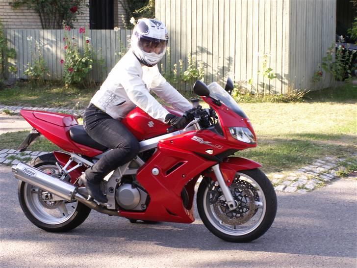 Suzuki SV1000S billede 2