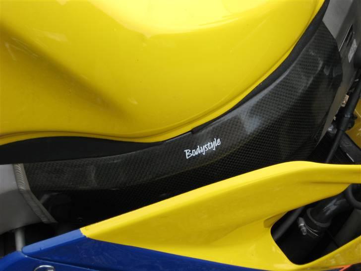 Honda CBR900RR [SOLGT] - Kulfiber Frame Protectors billede 4