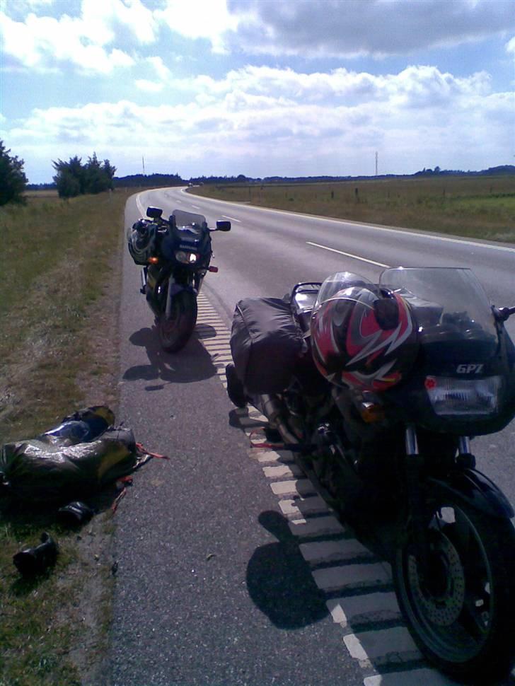 Suzuki GS500E billede 6