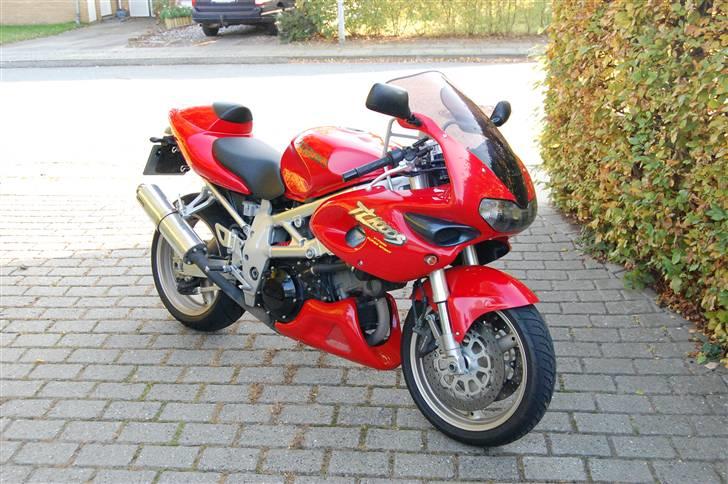 Suzuki Tl 1000 s - Solgt billede 2