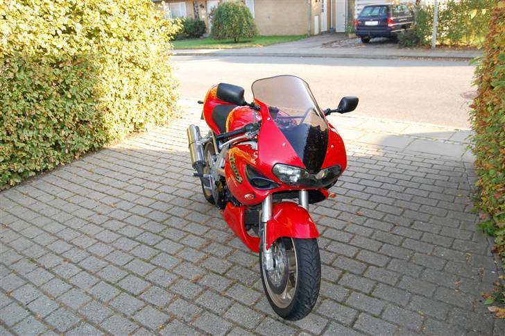 Suzuki Tl 1000 s - Solgt billede 6