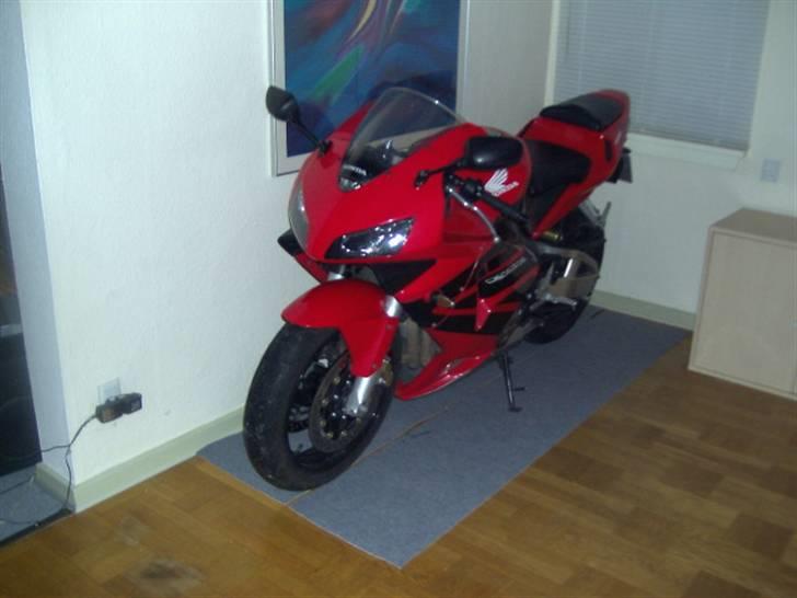 Honda CBR 600 RR ***SOLGT*** - D. 13/11-07.  så kom den i vinter hi inde i stuen. her står den dejlig varmt. mmm  ;o) billede 13