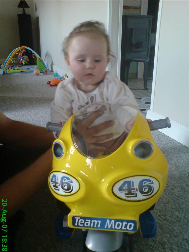 Suzuki TL 1000 R Solgt billede 16