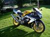 Honda cbr900rr fireblade