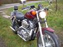 Harley Davidson Sportster 883 SOLGT