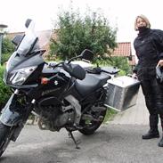 Suzuki DL 1000 V-Strom