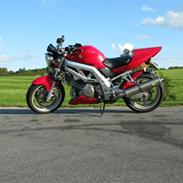 Suzuki SV 1000 N