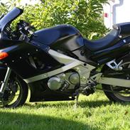 Kawasaki ZZR 600