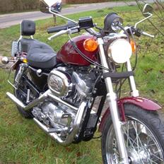 Harley Davidson Sportster 883 SOLGT