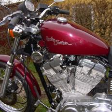 Harley Davidson Sportster 883 SOLGT