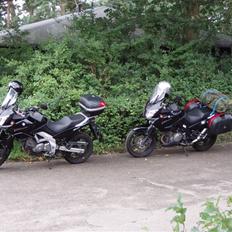 Suzuki DL 1000 V-Strom