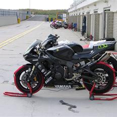 Yamaha YZF R6 Baneracer (solgt) 