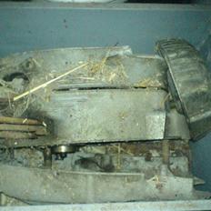 NSU max