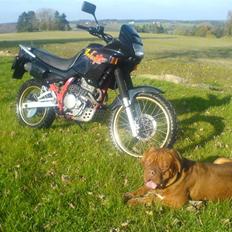 Honda nx 650 Dominator.