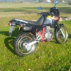 Honda nx 650 Dominator.