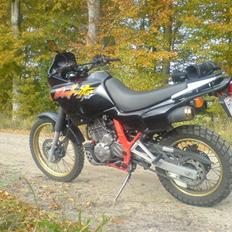 Honda nx 650 Dominator.