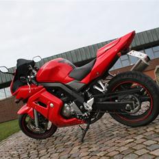 Suzuki SV 650 (SMADRET)