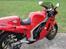 Suzuki RG 500 Gamma