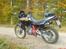 Honda nx 650 Dominator.