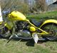 Triumph Tiger 100