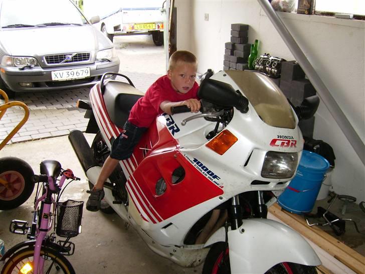 Honda cbr død - sådan så den ud da jeg købte den en del ramponeret billede 2