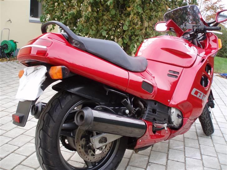 Honda cbr død billede 9