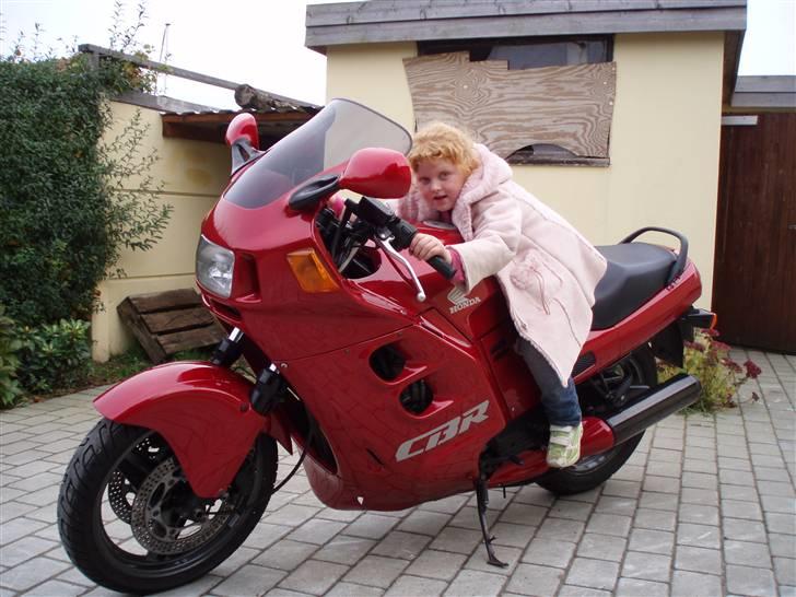 Honda cbr død - hun kan lige så godt lære det fra starten  hun er vild med det med motor billede 12