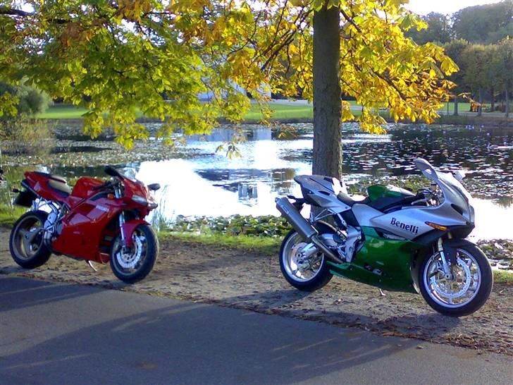 Ducati 916 billede 6