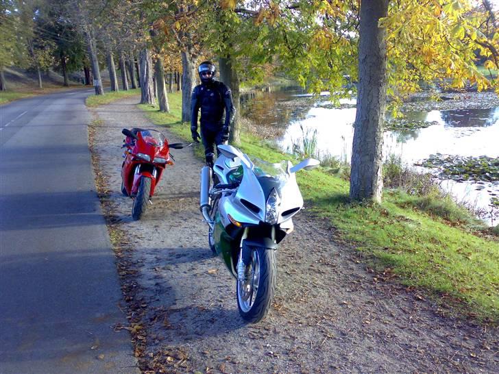 Ducati 916 billede 7