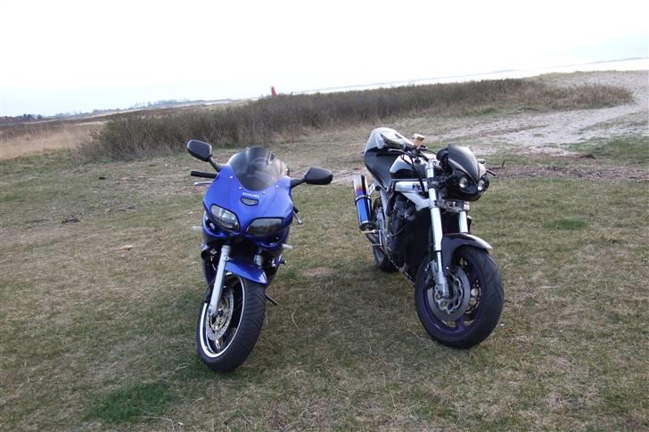 Suzuki sv 650 solgt - vogne og mig ude og trille billede 12