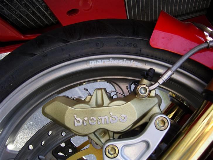 Ducati 998 S BAYLISS no 25/400 SOLGT billede 3