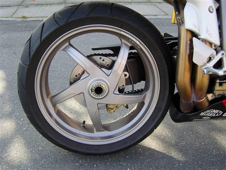 Ducati 998 S BAYLISS no 25/400 SOLGT billede 6