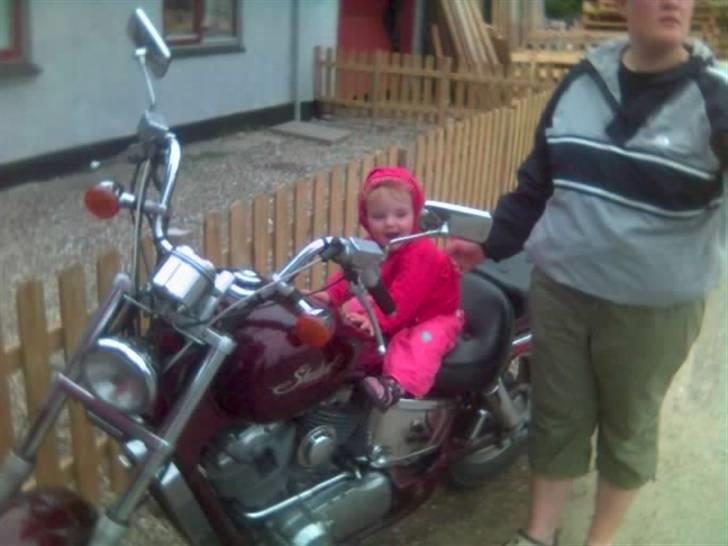 Honda vt 1100 shadow - bikerbitch eller hva ? man kan ikk starte for tidligt...  billede 6