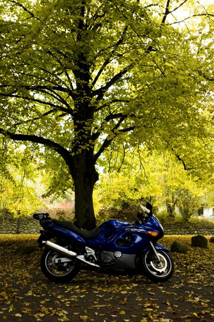 Suzuki GSX F billede 6
