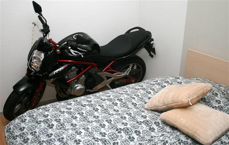 Kawasaki ER 6N, 2007 *May-Britt´s billede 6