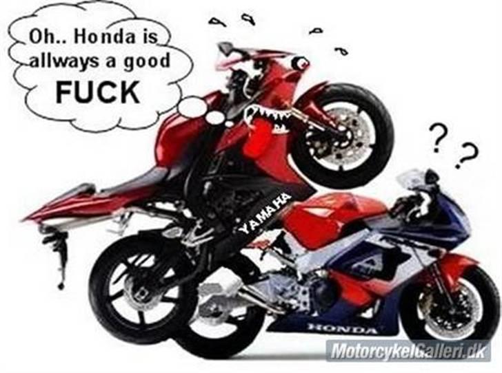 Yamaha Fzr 1000  "solgt" billede 10